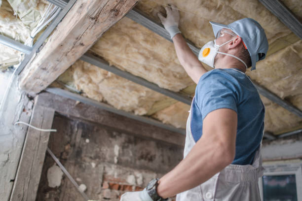 Insulation Inspection Services in New Hyde Park, NY